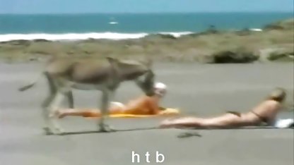 همسر او یک زن بسیار عکس زنان پورن زیبا